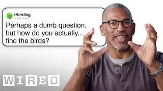 Professional Birder Answers Birding Questions | WIRED